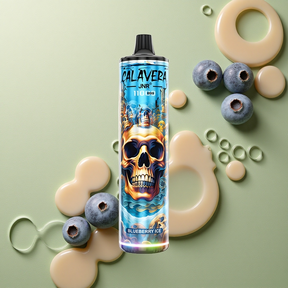 JNR Calavera 11000 Borůvkový Led s Typ-C a 21ml