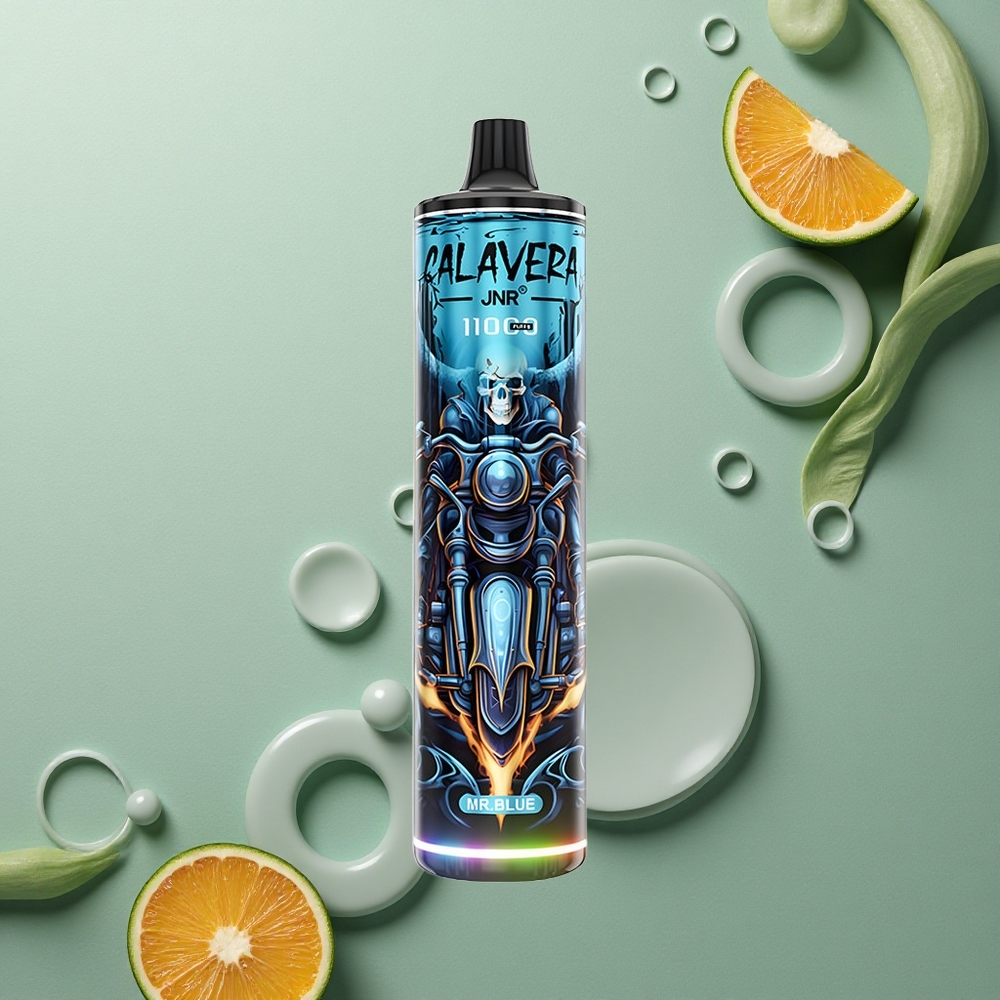 JNR Calavera 11000 Pan Modrý 850mAh 21ml 1.0ohm