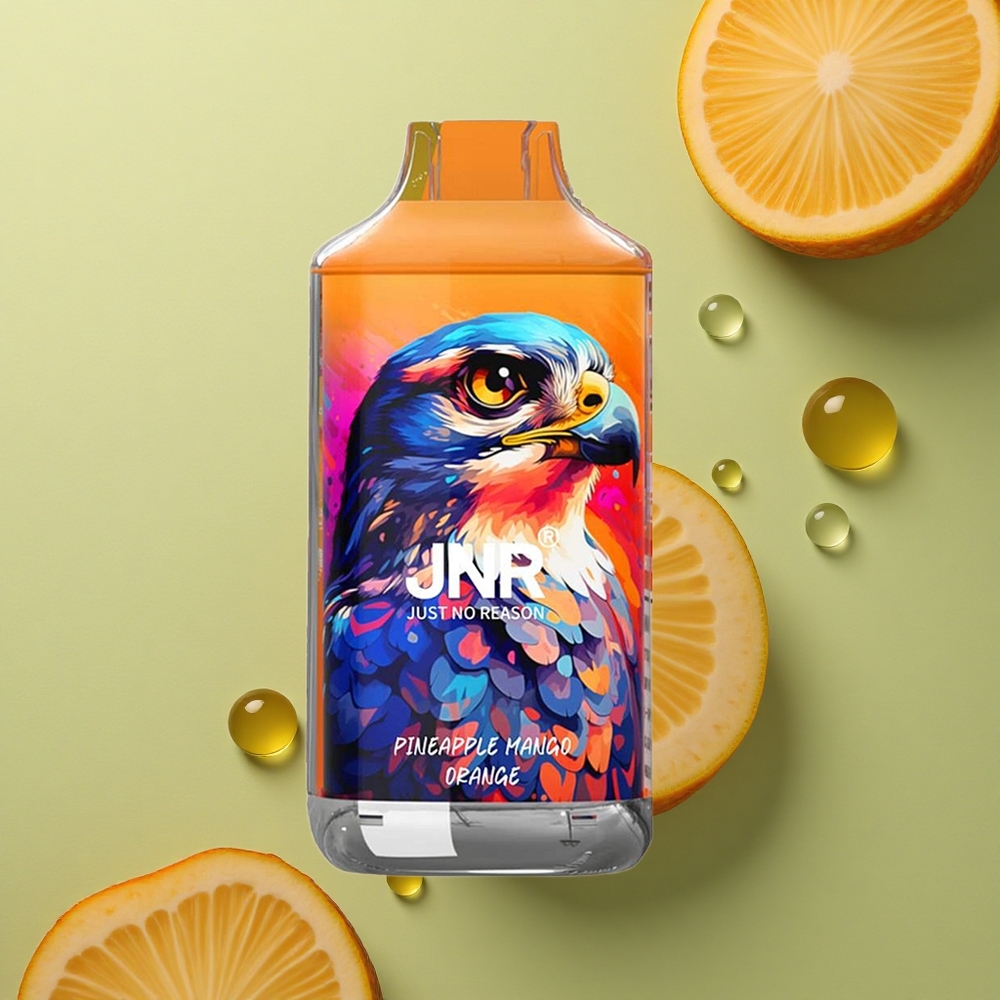 JNR Falcon 16000 Ananas Mango Pomeranč Dual Mesh 22ml LED Display