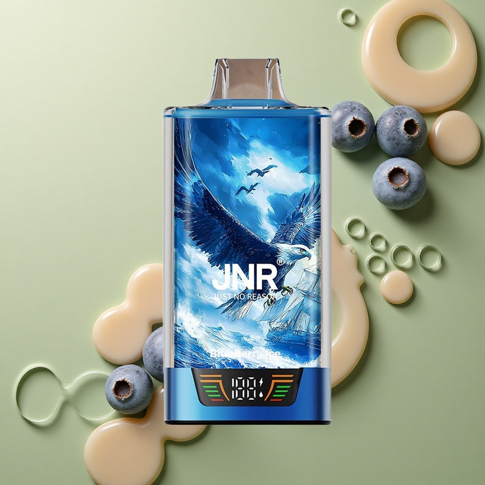 JNR Falcon Pro 28000 Borůvkový Led s 30ml a 950mAh