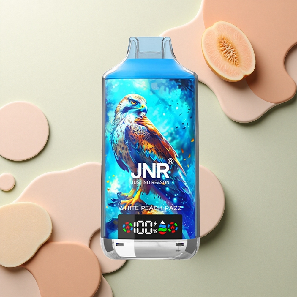 JNR Falcon X 18000 Bílá broskev Razz 24ml Dual Mesh