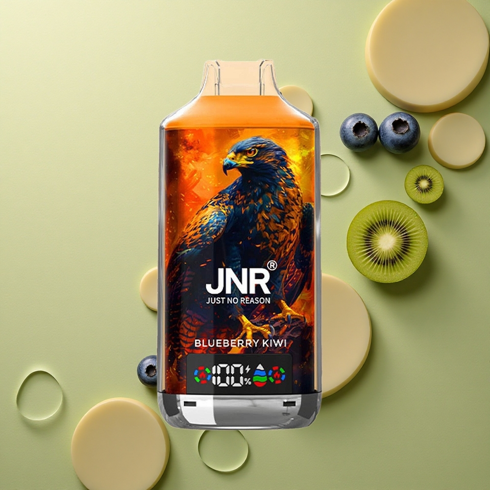 JNR Falcon X 18000 Borůvka Kiwi 24ml Dual Mesh