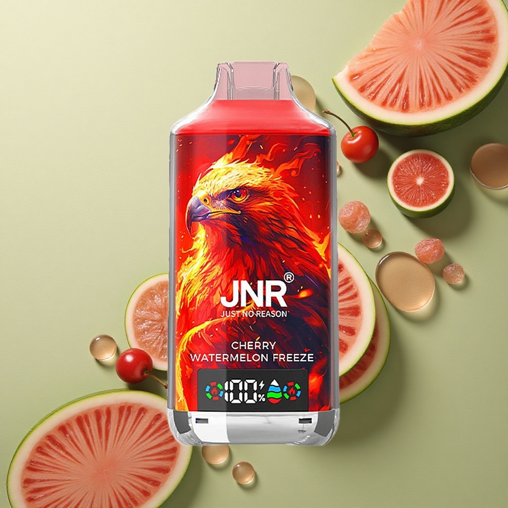 JNR Falcon X 18000 Třešňový Melounový Mrazík 24ml Dual Mesh 750mAh Type-C