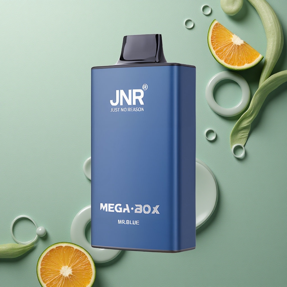 JNR Mega Box 25000 Pan Nový Blue 30ml Dual Mesh
