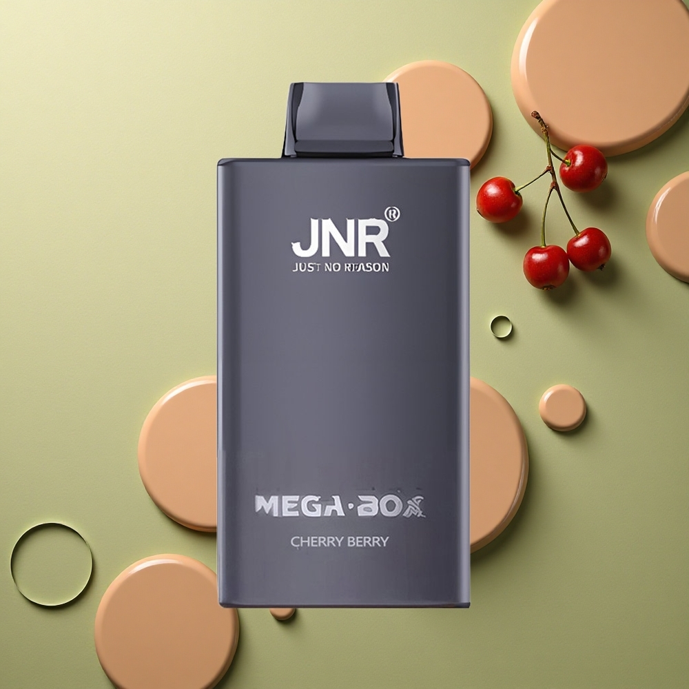 JNR Mega Box 25000 Třešňová Bobule Dual Mesh & Typ-C
