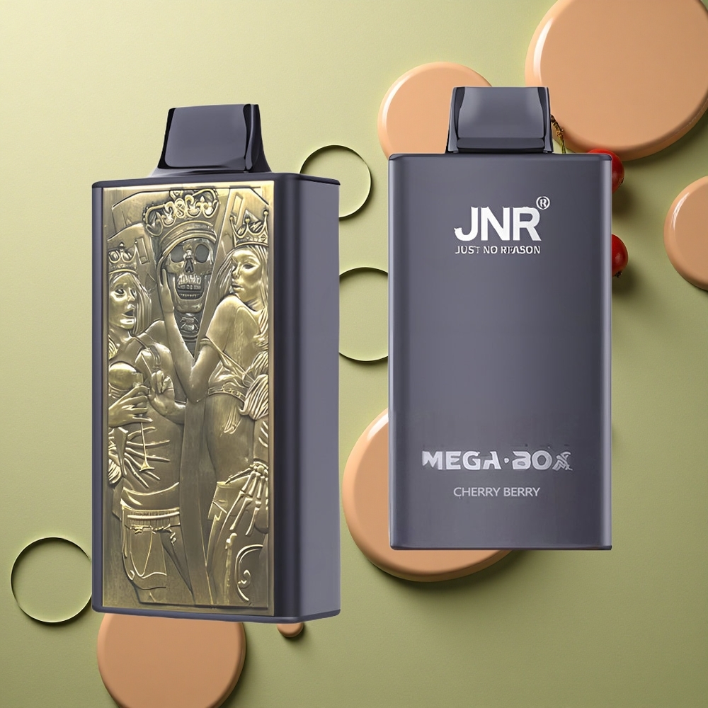 JNR Mega Box 25000 Třešňová Bobule Dual Mesh & Typ-C