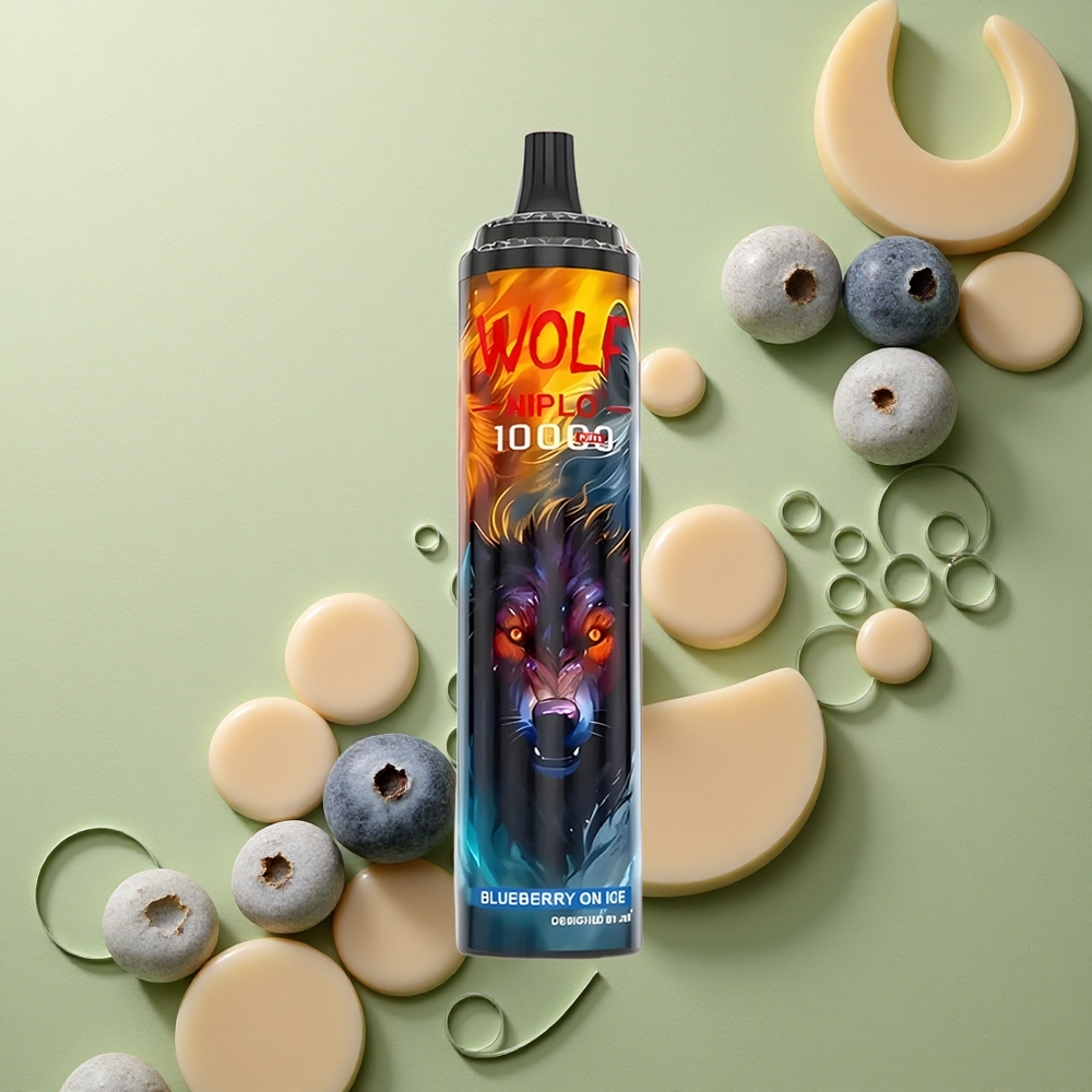 JNR Wolf Niplo 10000 Borůvka na Ledu s 20ml a 650mAh